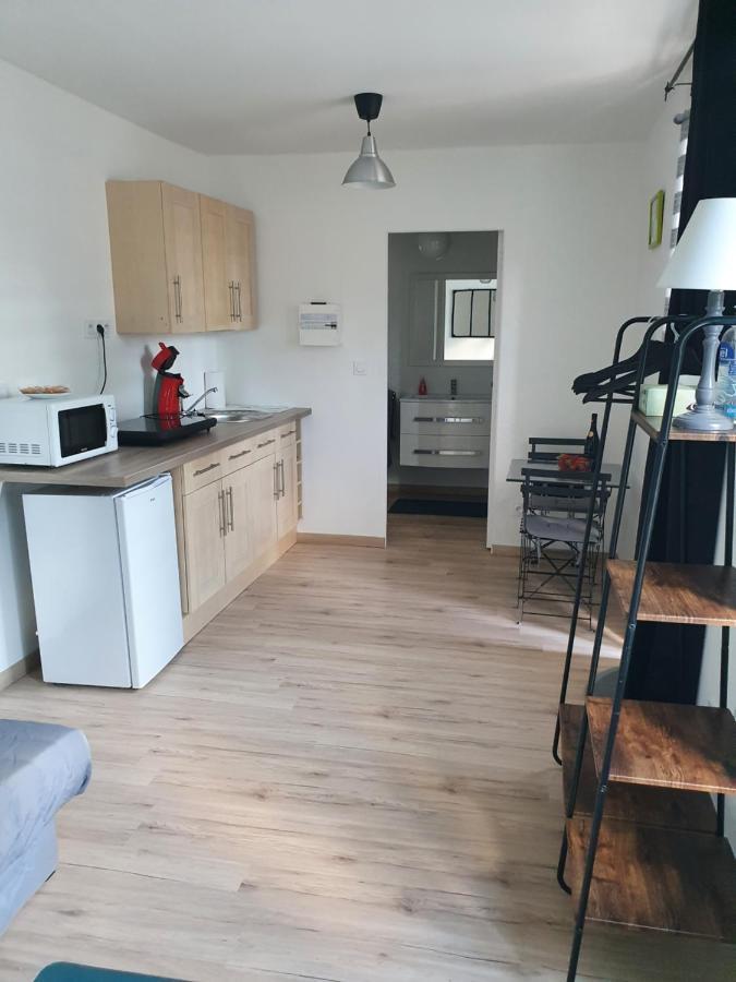Studio Coccoon Proche Beauval Le Controis-en-Sologne Exterior foto